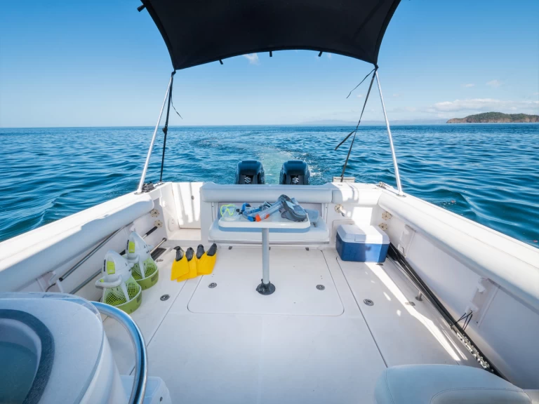 Hyr en Pro Line Express Culebra 