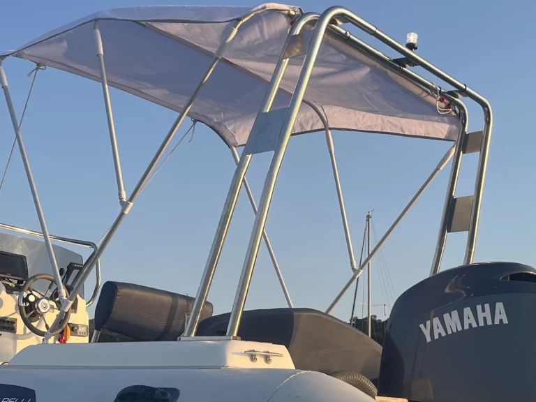 Uthyrning RIB Capelli med en båtlicens 