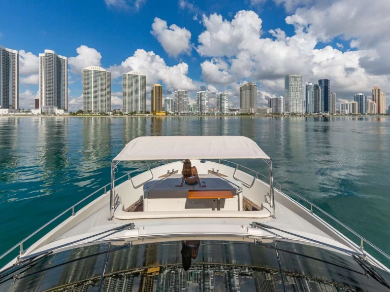 Hyr en  Dominator S.r.l GOLDEN 3 Miami  