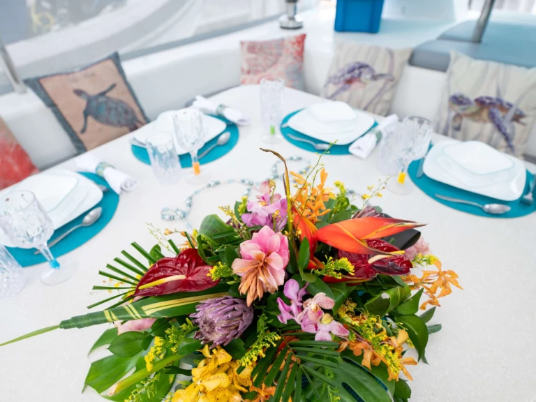 Voyage TURQUOISE TURTLE charter bareboat eller skeppad i Brittiska Jungfruöarna