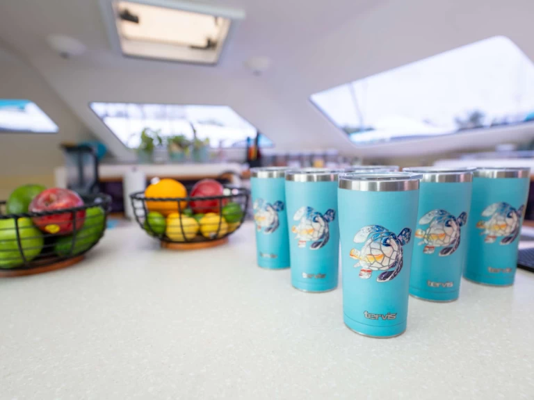 Uthyrning Brittiska Jungfruöarna - Voyage TURQUOISE TURTLE av Samboat 