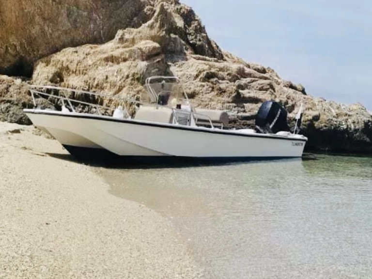 Uthyrning Larmor-Plage - Boston Whaler Boston Whaler 17 av Samboat 