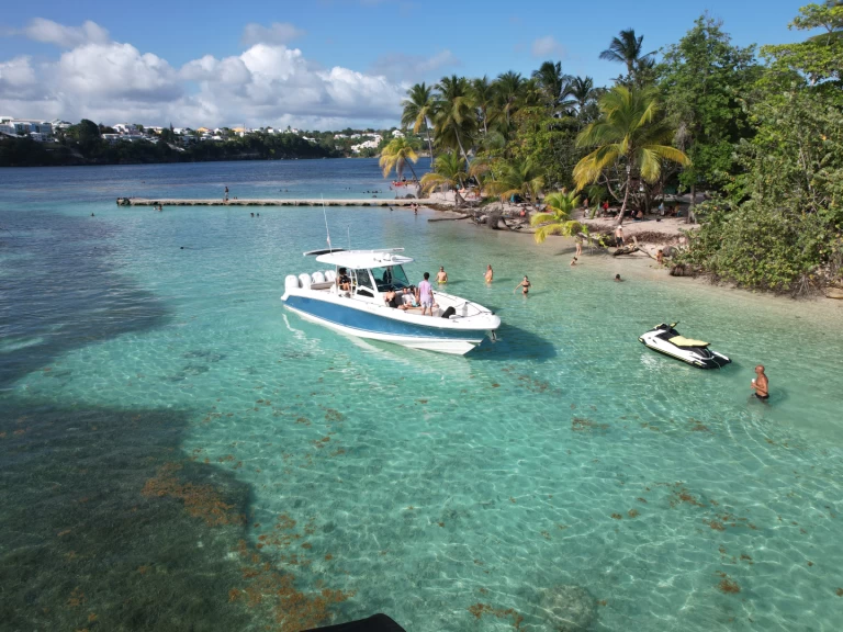 Uthyrning Pointe-à-Pitre - Boston Whaler Boston Whaler 380 Outrage av Samboat 