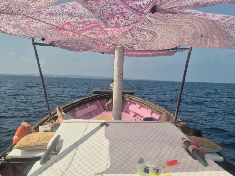 Hyra Motorbåt  med eller utan skeppare Llaut La Savina 