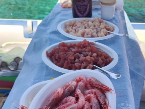 Uthyrning RIB Northstar med en båtlicens 