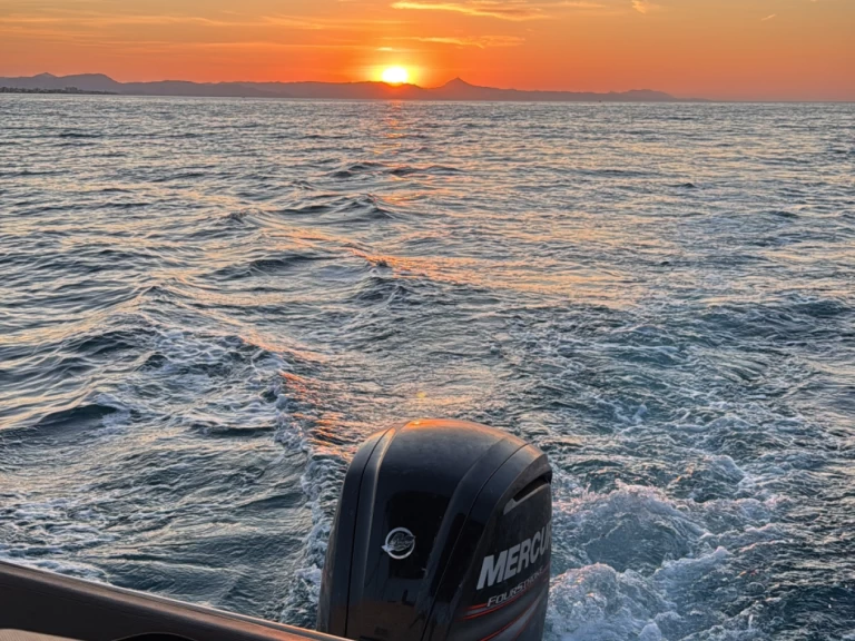 Båtuthyrning Quicksilver Activ 605 Sundeck i Denia på Samboat 