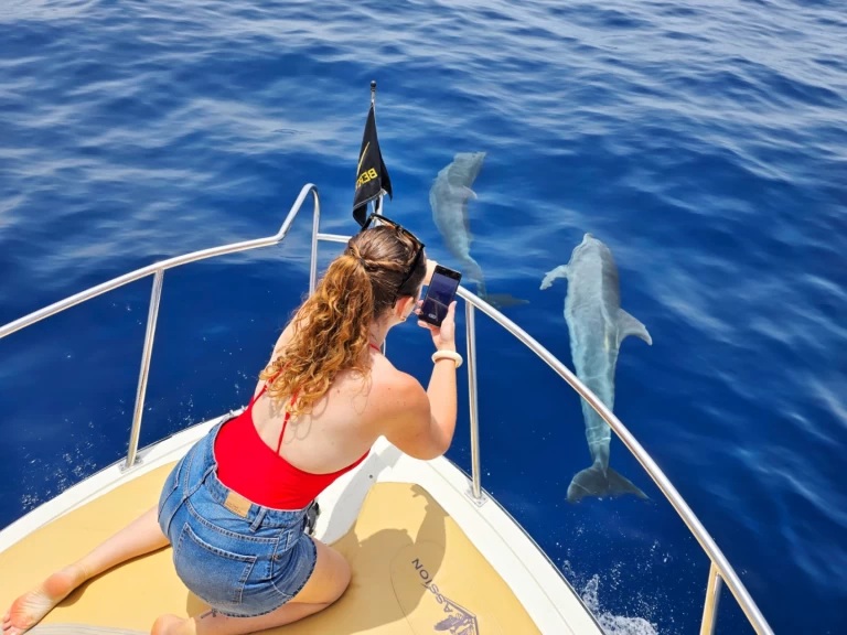 Motorbåt  för uthyrning Guía de Isora till det bästa priset 