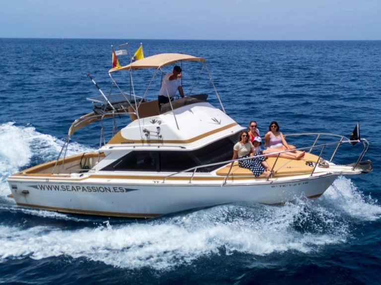 Uthyrning Motorbåt  i Guía de Isora - Bertram Bertram 28 flybrigde