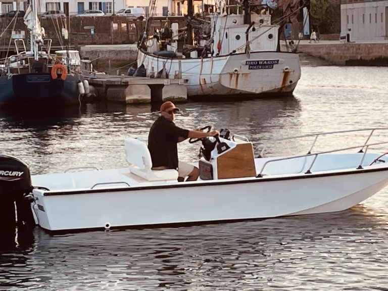 Boston Whaler Boston Whaler 17 charter bareboat eller skeppad i Larmor-Plage