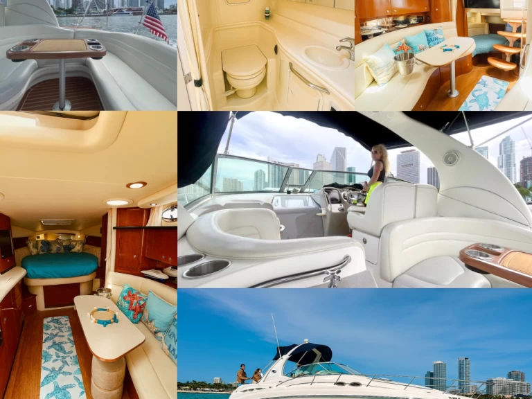 Sea Ray Sundancer 37 charter bareboat eller skeppad i Miami 