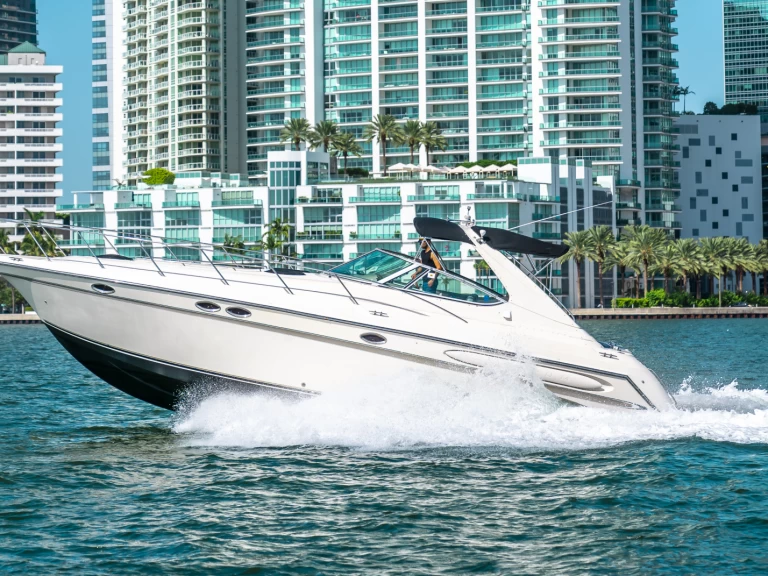 Yacht charter Miami  billig Maxum 38