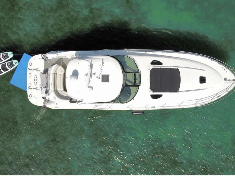 Yacht charter Miami Beach billig Sea Ray 54