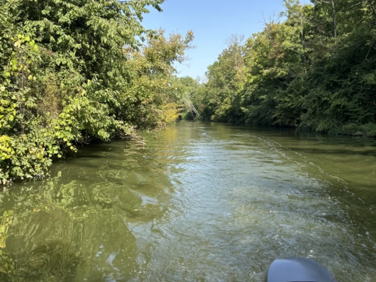 Uthyrning Motorbåt  Jeanneau med en båtlicens 