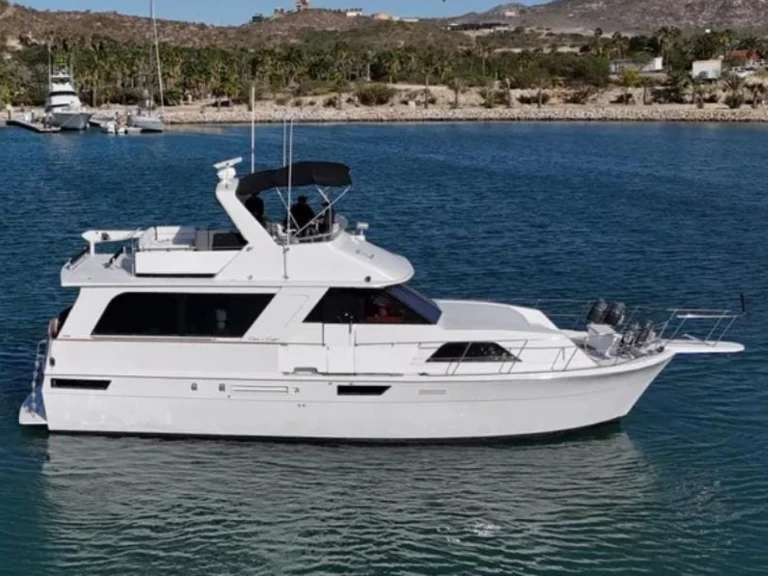Hyr en Chris Craft Constellation 55 San José del Cabo 