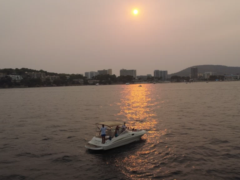 Hyr en Sea Ray Sea Ray 240 Sundeck Palma de Mallorca 
