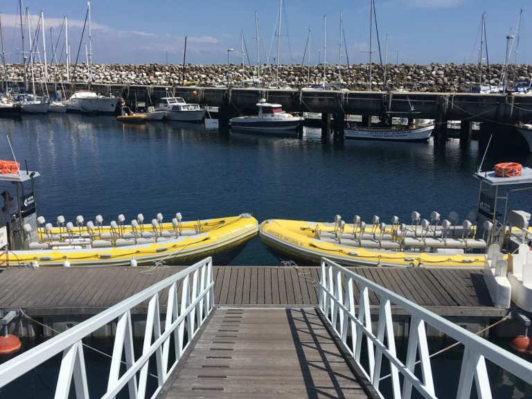 Vanguard TX 860 charter bareboat eller skeppad i Sesimbra