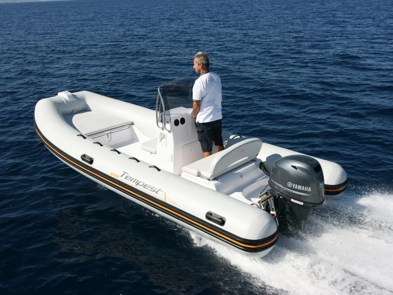 Uthyrning RIB Capelli med en båtlicens 