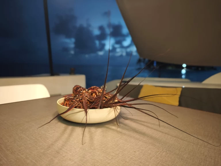 Uthyrning Katamaran  Oyacht med en båtlicens 