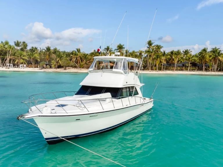 Hyra Motorbåt  med eller utan skeppare Riviera Bayahíbe (Zona Urbana) 