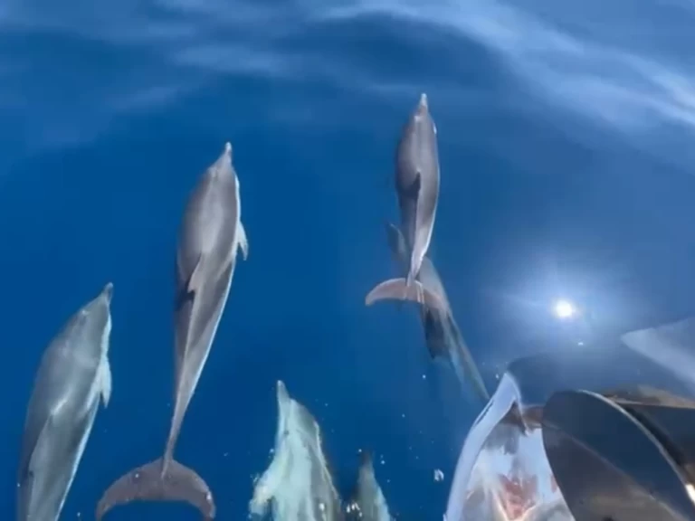 Uthyrning Lyx yacht i Saint-Tropez - Jeanneau Merry Fisher 1095