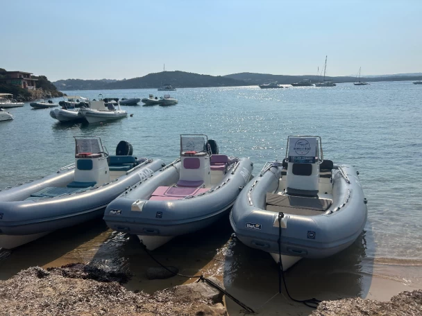 Uthyrning RIB Bwa med en båtlicens 