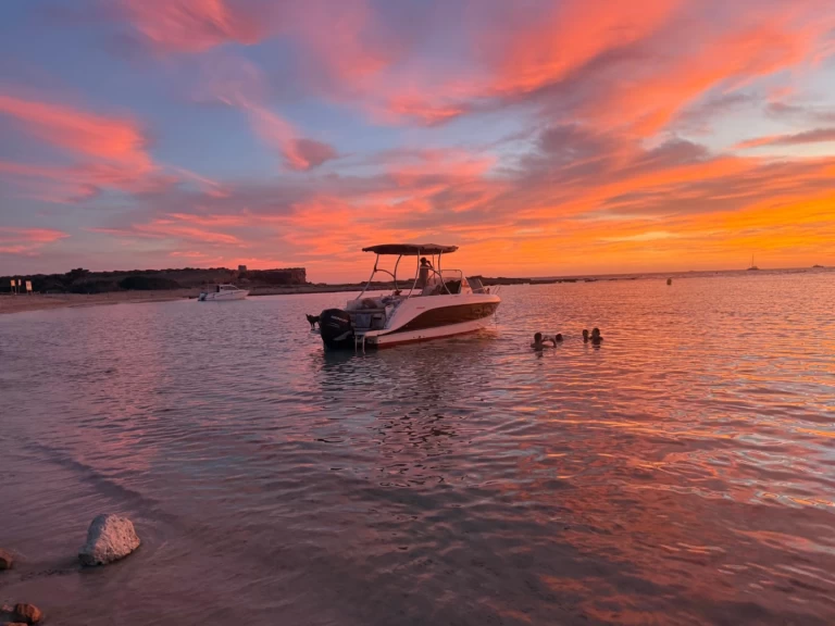 Yacht charter Ibiza Town billig Activ 805 Sundeck