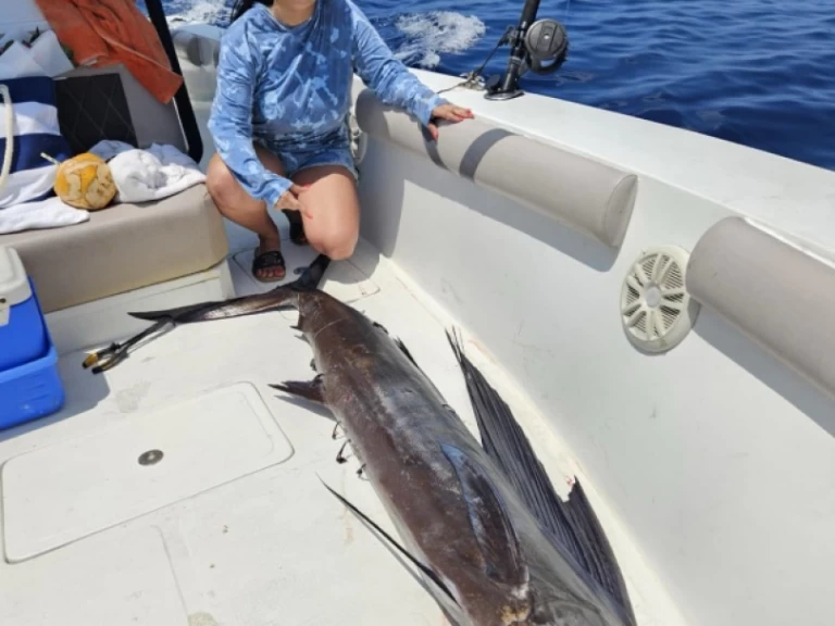 Hyra Motorbåt  med eller utan skeppare Touring 24 Kendhoo 