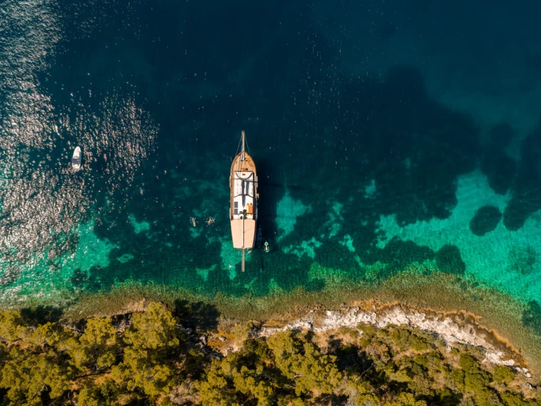 Uthyrning Segelbåt   med en båtlicens 