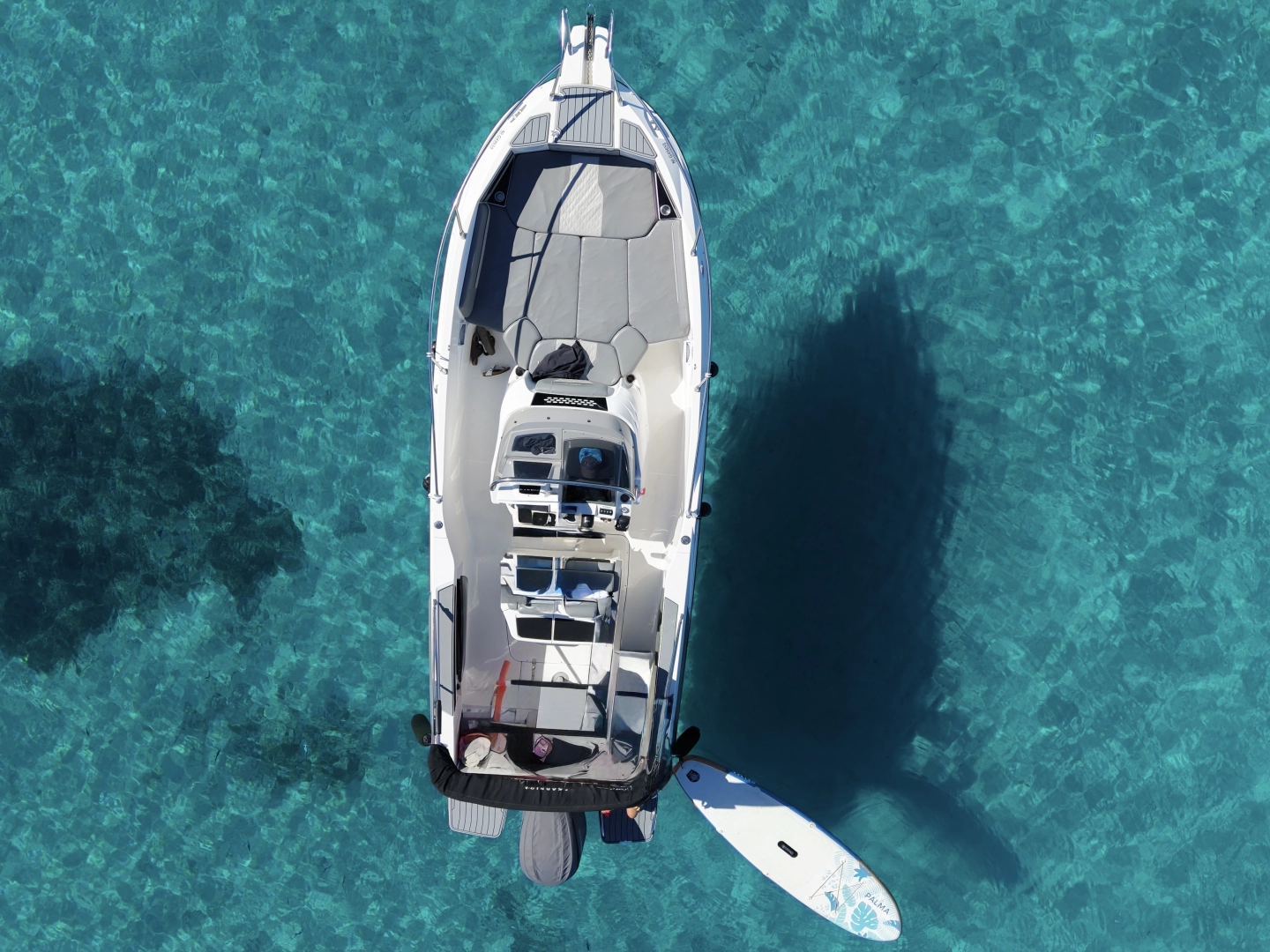 Hyra Motorbåt  med eller utan skeppare Karnic Mandelieu-la-Napoule 