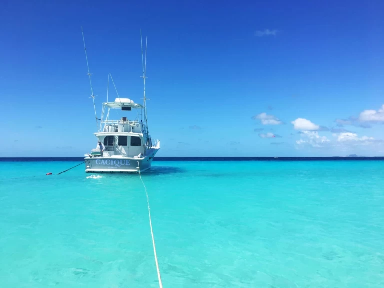 Uthyrning Willemstad - costume 45 av Samboat 