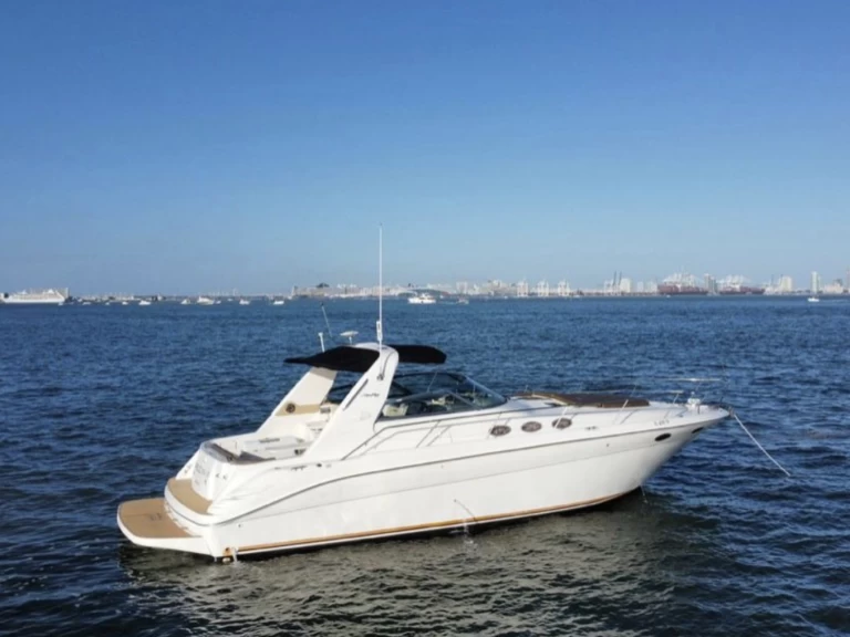 Hyr en Sea Ray Sea Ray 400 Sundancer Key Biscayne 