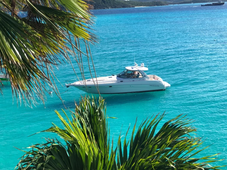 Sea Ray Sea Ray 525 Sundancer charter bareboat eller skeppad i Saint Thomas Harbor