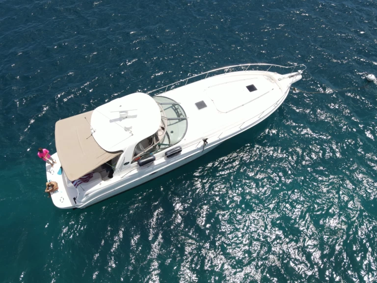 Yacht charter Tortola billig Sea Ray 525 Sundancer