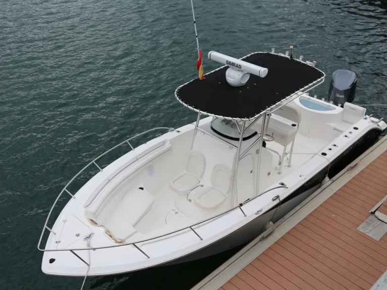 Uthyrning Motorbåt  SEAFOX med en båtlicens 