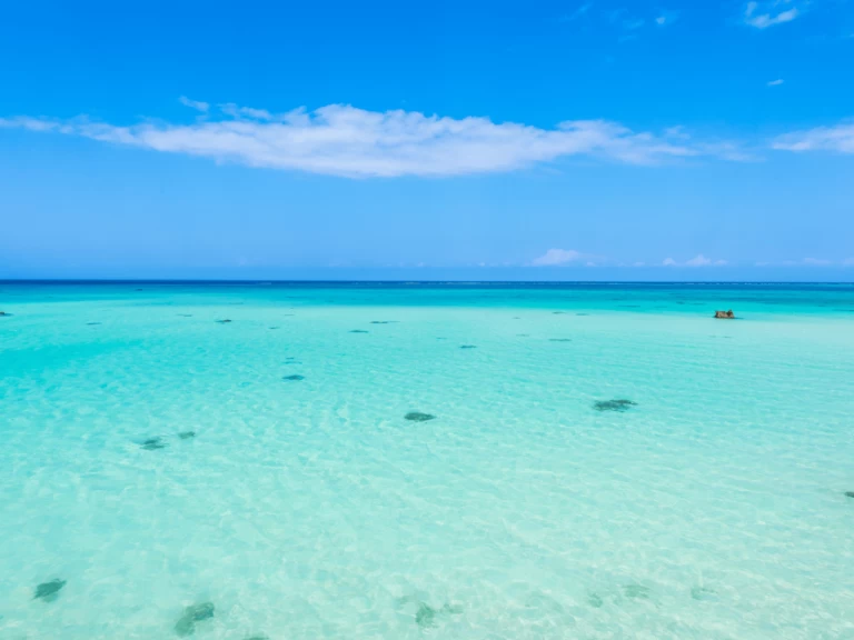 Hyra Katamaran  med eller utan skeppare Custom Made Kendwa 