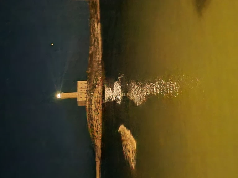 Hyra Motorbåt  med eller utan skeppare Idea Marine Vieste 