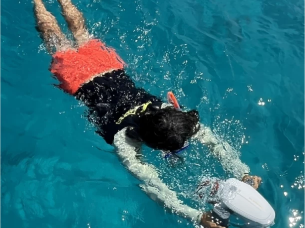 Båtuthyrning Fountaine Pajot Astrea 42 i Hyeres på Samboat 