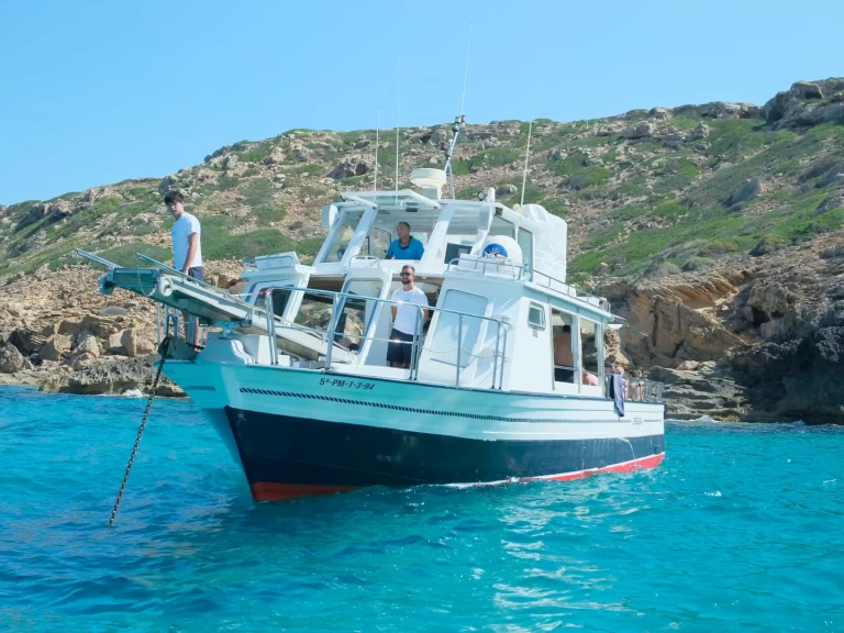 Hyr en palma 1 s'Arenal 