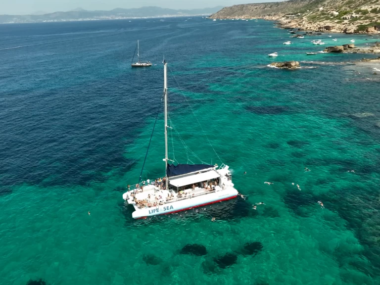 Hyr en Drassanes Dalmau one of a kind Playa de Palma 