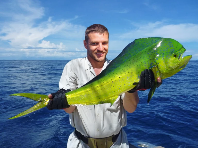 Uthyrning Lyx yacht i Punta Cana - Custom Made Custom made