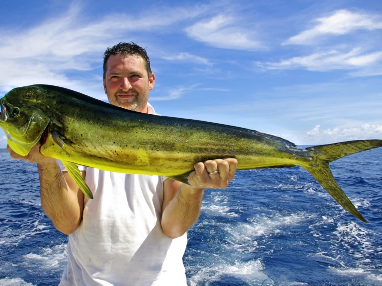 Hyra Lyx yacht med eller utan skeppare Custom Made Punta Cana 