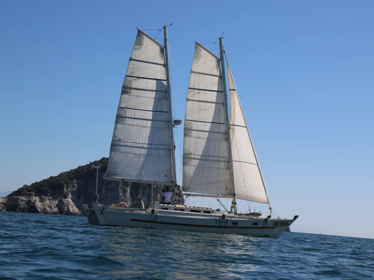 Hyra Katamaran  med eller utan skeppare Wharram La Spezia 