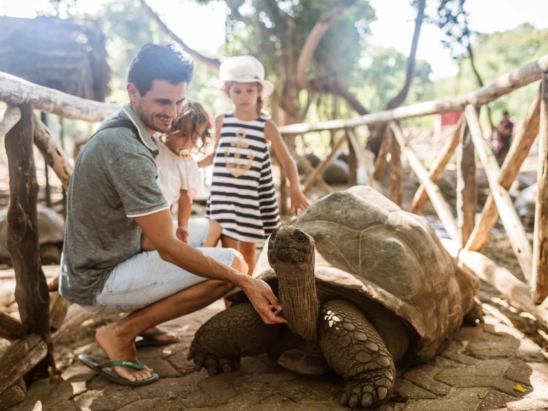 Hyra Segelbåt  med eller utan skeppare Custom Zanzibar 