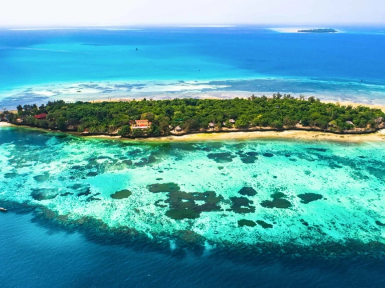 Yacht charter Zanzibar billig Custom