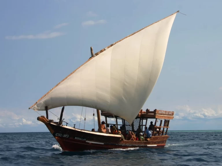 Uthyrning Zanzibar - Custom Custom av Samboat 