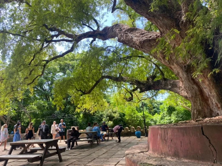 Båtuthyrning Custom Custom i Zanzibar på Samboat 