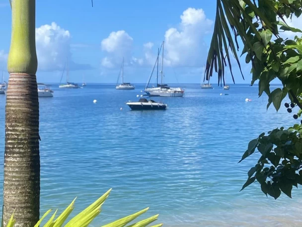 Uthyrning Motorbåt  i Deshaies - Pacific Craft Pacific Craft 630