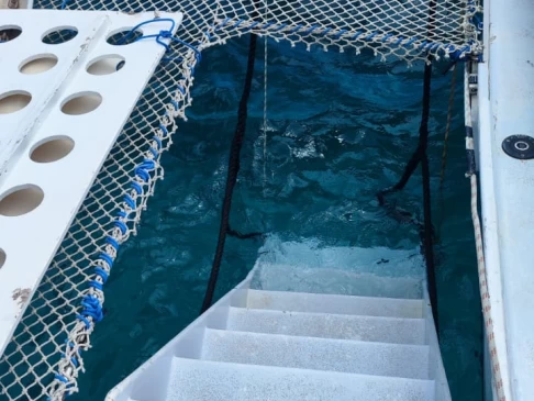 Hyr en Snotra open40 Plan eric lerouge Les Trois-Îlets 