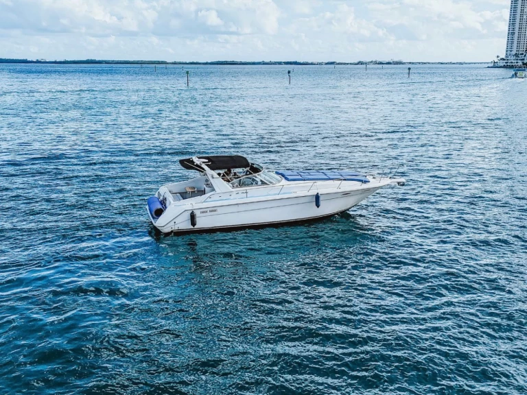 Uthyrning Motorbåt  Sea Ray med en båtlicens 