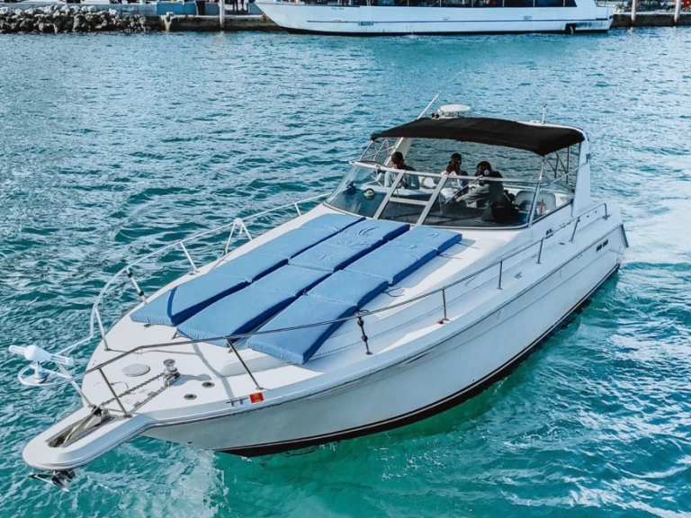 Uthyrning Miami  - Sea Ray Sea Ray 370 Sundancer av Samboat 